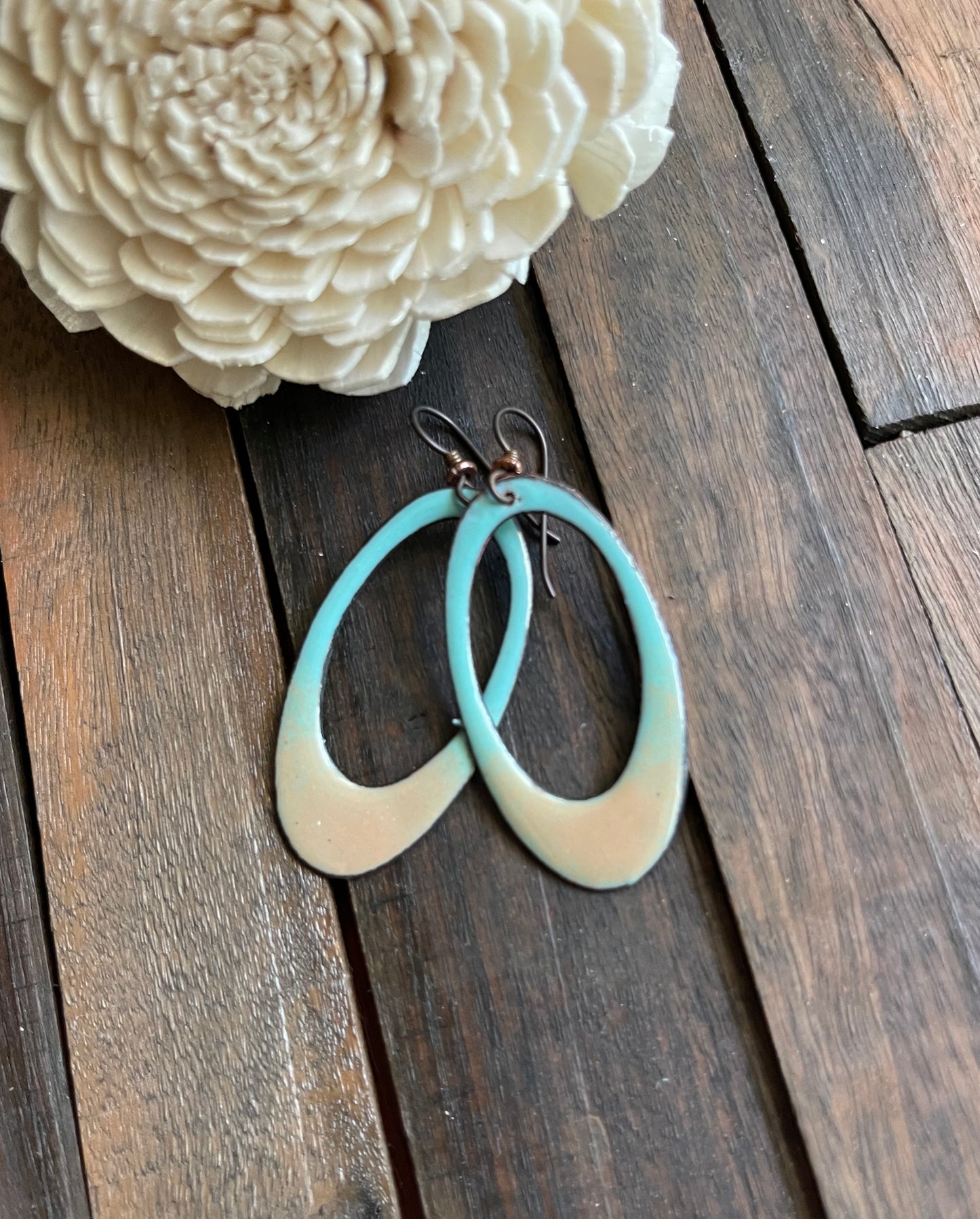 Enameled Oval Blue with Tan Earrings